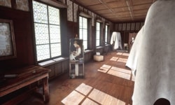 The Renovator: Origins
